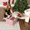 DII® Holiday Candy Stripe Print Large Ornament Storage